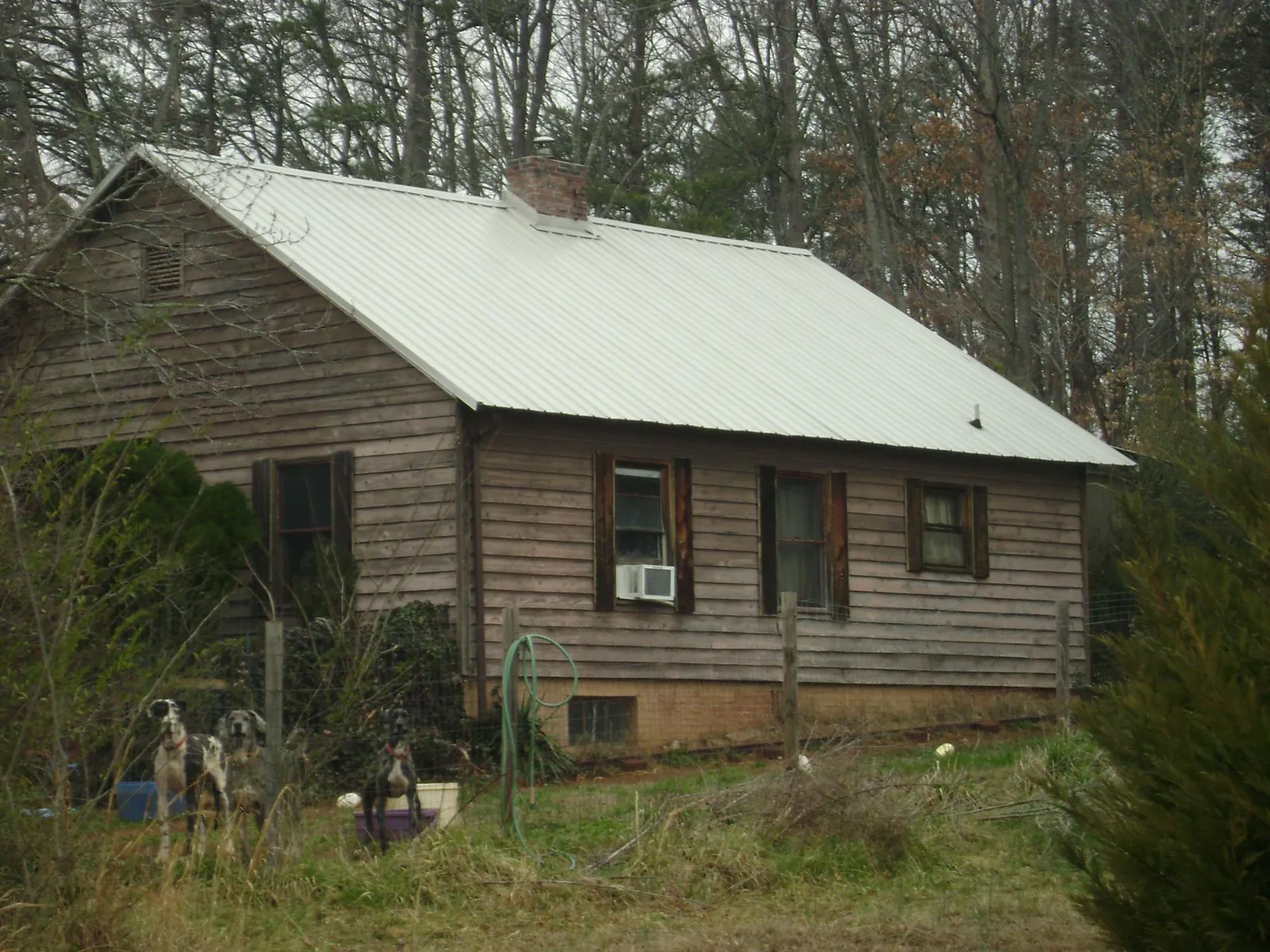 White metal roof on an old wood sided farmhouse, from a Asphalt Shingle Roof Repair job in Potterville
